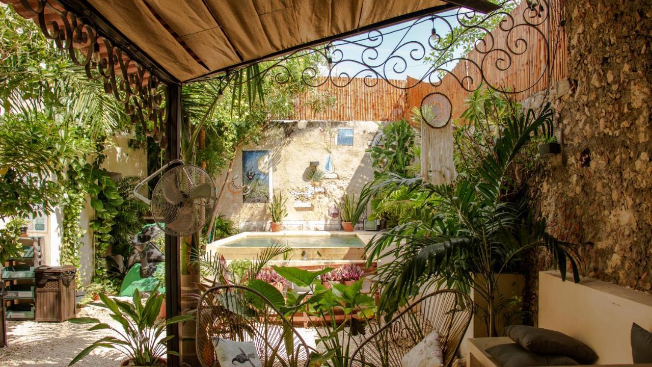Kuka Y Naranjo Bed & Breakfast Merida