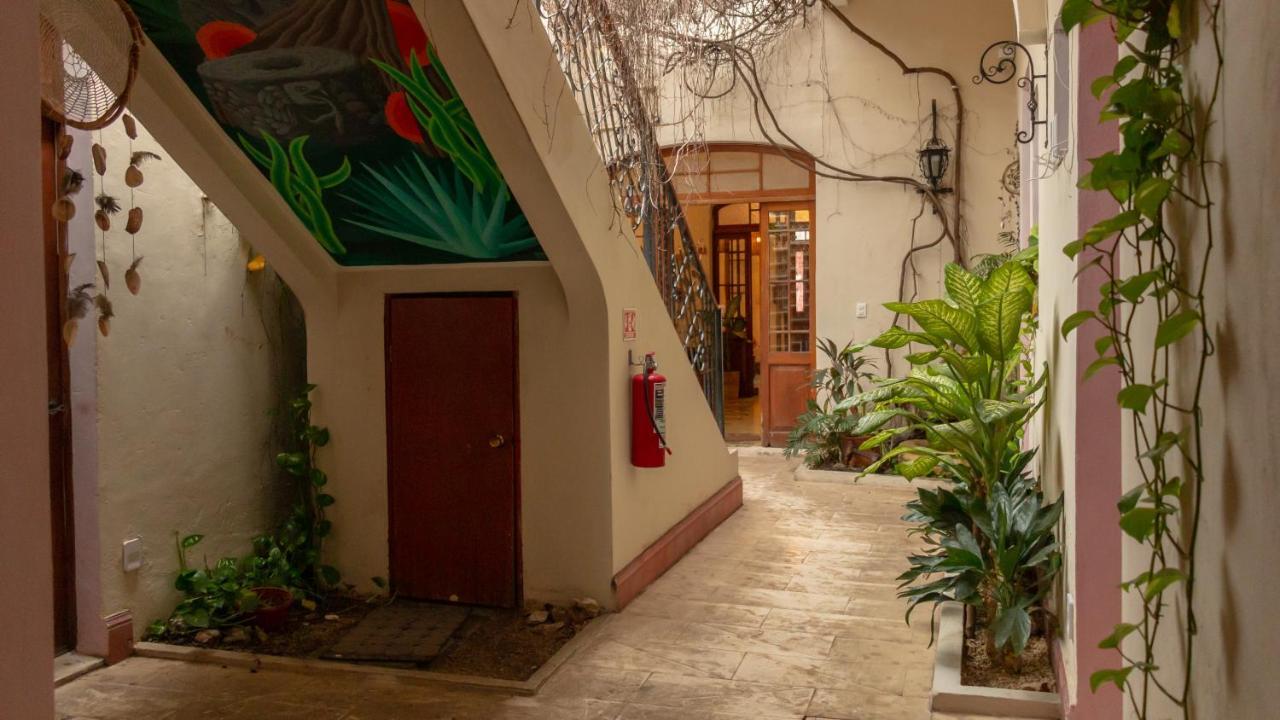 Bed & Breakfast Kuka Y Naranjo